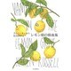 レモン畑の吸血鬼 [単行本]