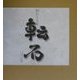 転石―50代の肖像 [単行本]
