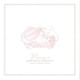 piana／piana Works Collection - Snow Bird/Ephemeral/Remixes