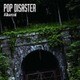 POP DISASTER／Alkaroid