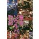 東京ソウル・バー物語 [単行本]
