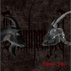 DreadnoughT／Beginning ≒ Demise