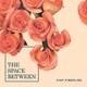タイニー・ファイアーフライズ／The Space Between