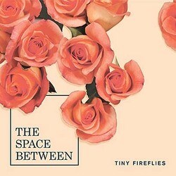 タイニー・ファイアーフライズ／The Space Between