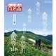 にっぽん百名山 東日本の山3 (NHK VIDEO) [Blu-ray Disc]