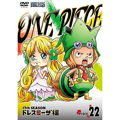 One Piece ワンピース 17thシーズン ドレスローザ編 Piece 22