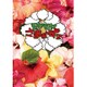 モヤモヤさまぁ～ず2 DVD-BOX(VOL.26、VOL.27) [DVD]