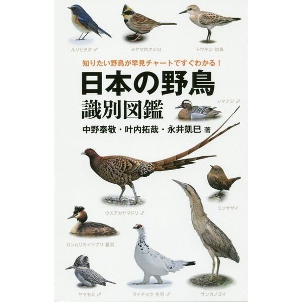日本の野鳥識別図鑑―知りたい野鳥が早見チャートですぐわかる! [図鑑]