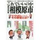 これでいいのか神奈川県相模原市―政令都市になって見えてきたその野望とは?(地域批評シリーズ〈6〉) [文庫]