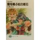 闇を喚ぶ紅の魔石―紅蓮の猟魔士(富士見ファンタジア文庫) [文庫]