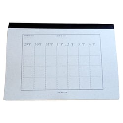 A4手帳 2016年上期 [単行本]