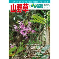山野草とミニ盆栽 2016年 03月号 [雑誌]
