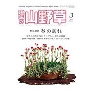 趣味の山野草 2016年 03月号 [雑誌]