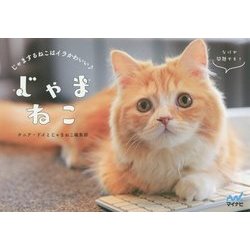 じゃまねこ―じゃまするねこはイラかわいい [単行本]