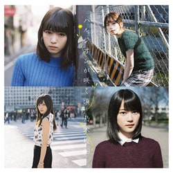 乃木坂46／ハルジオンが咲く頃
