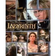 ラビリンス 魔王の迷宮 メモリアル・エディション ブルーレイ&DVDコンボ
