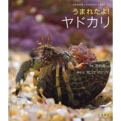 うまれたよ!ヤドカリ(よみきかせいきものしゃしんえほん〈22〉) [絵本]