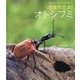 うまれたよ!オトシブミ(よみきかせいきものしゃしんえほん〈26〉) [絵本]