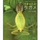 うまれたよ!タガメ(よみきかせいきものしゃしんえほん〈29〉) [絵本]