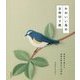 かわいい鳥の立体切り紙―身近な小鳥から世界の野鳥まで45作品 [単行本]