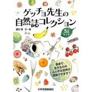ゲッチョ先生の自然誌コレクション(全5冊) [絵本]