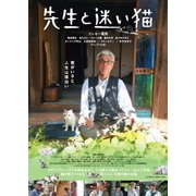 先生と迷い猫