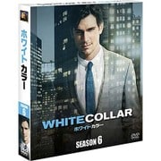 ホワイトカラー ファイナル・シーズン SEASONS コンパクト・ボックス