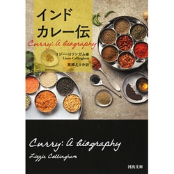 インドカレー伝(河出文庫) [文庫]