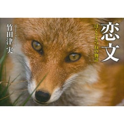 恋文―ぼくときつねの物語 [単行本]