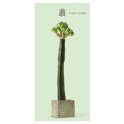 叢―小田康平の多肉植物 [単行本]