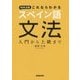 NHK出版 これならわかるスペイン語文法―入門から上級まで [単行本]