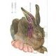 みみの誕生―窪野隆弘童話集 [単行本]