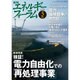 エネルギーフォーラム 2016年 03月号 [雑誌]