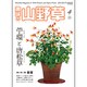 趣味の山野草 2016年 04月号 [雑誌]