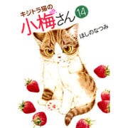 キジトラ猫の小梅さん 14（ねこぱんちコミックス） [コミック]