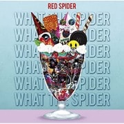 WHAT THE SPIDER