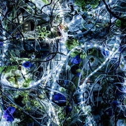 Aimer／ninelie EP
