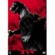 ゴジラ [DVD]