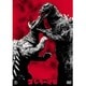 ゴジラの逆襲 [DVD]