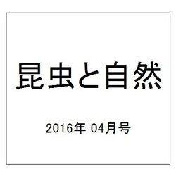 昆虫と自然 2016年 04月号 [雑誌]