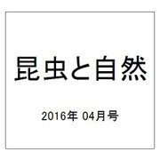 昆虫と自然 2016年 04月号 [雑誌]