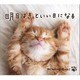 明日はきっといい日になる/α波オルゴール