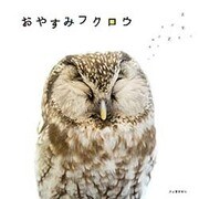おやすみフクロウ [単行本]
