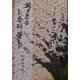 夢舞台 新舞踊の華たち [単行本]