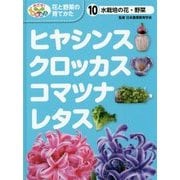 水栽培の花・野菜 ヒヤシンス・クロッカス・コマツナ・レタス(めざせ!栽培名人 花と野菜の育てかた〈10〉) [単行本]