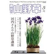 趣味の山野草 2016年 05月号 [雑誌]