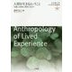 人間を生きるということ―「体験」の教育人間学に向けて(立命館大学人文学企画叢書〈07〉) [単行本]