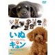いぬキュン 癒しのわんこシアター We Love Dog (シンフォレストDVD) [DVD]