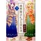 腹黒舞子さんとの京生活 3 完結 (バンブーコミックス) [コミック]