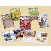 さがそう!生きものかくれんぼ(全5巻) [単行本]